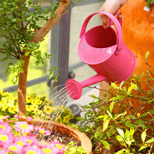 1.5L Metal Watering Can