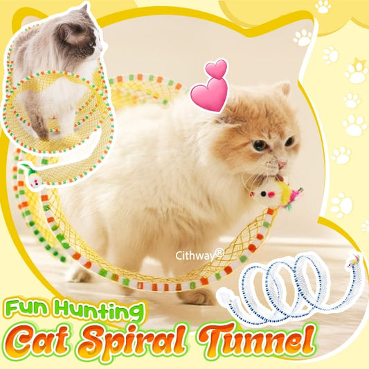 Self-play Cat Hunting Spiral Tunnel Toy