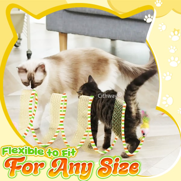 Self-play Cat Hunting Spiral Tunnel Toy